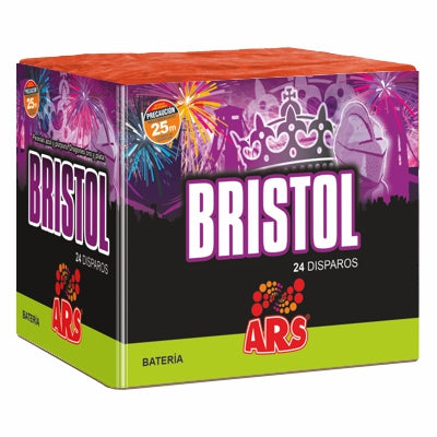 BRISTOL, 24 disparos