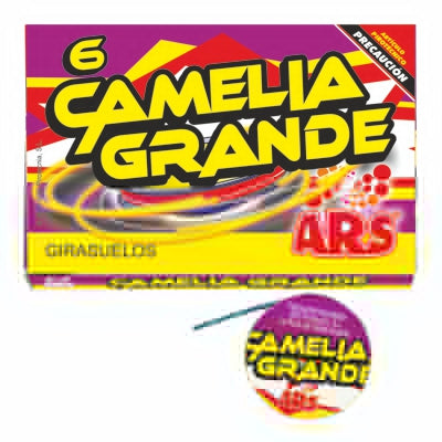 CAMELIA GRANDE (6)