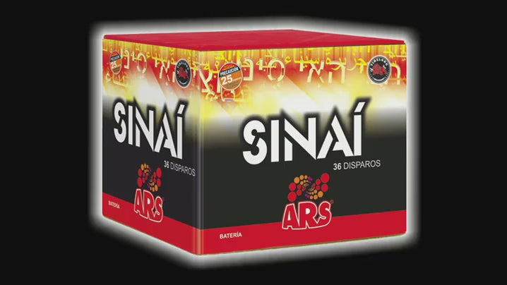 SINAI, 36 disparos
